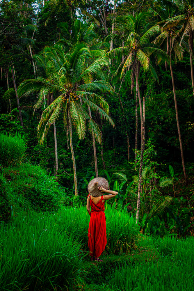 GREEN UBUD BUDDHA