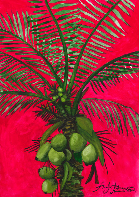 THAI COCONUT PALM