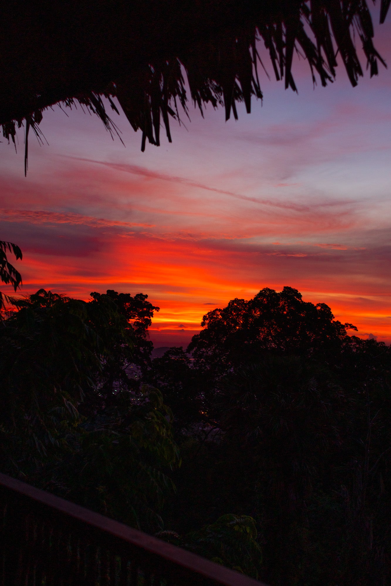 TROPICAL NIGHT IN THE JUNGLE HUT