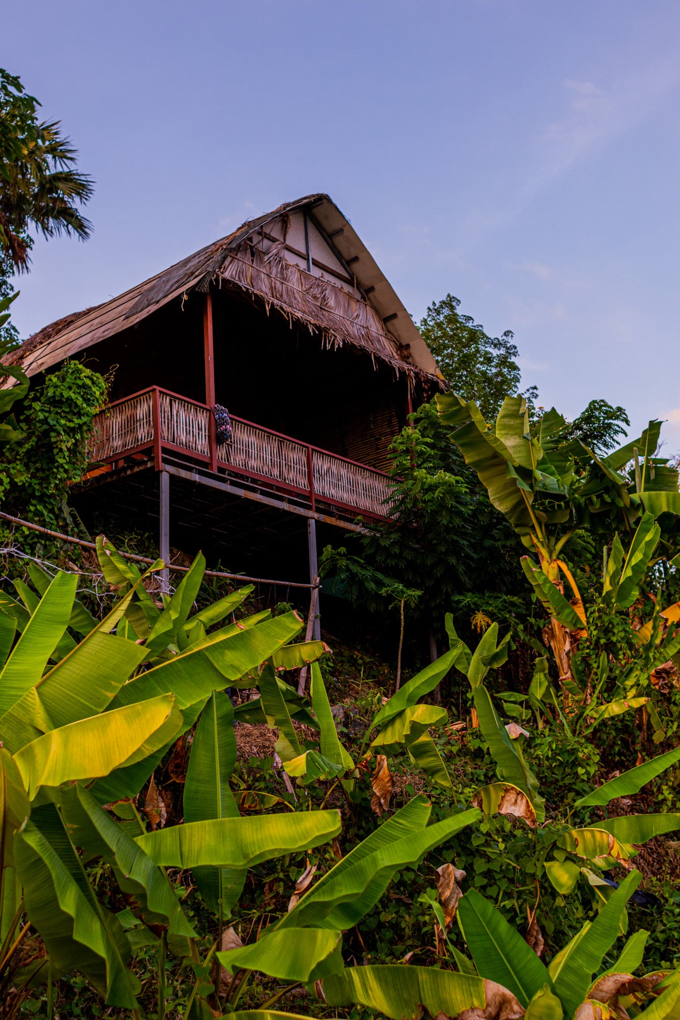 TROPICAL NIGHT IN THE JUNGLE HUT