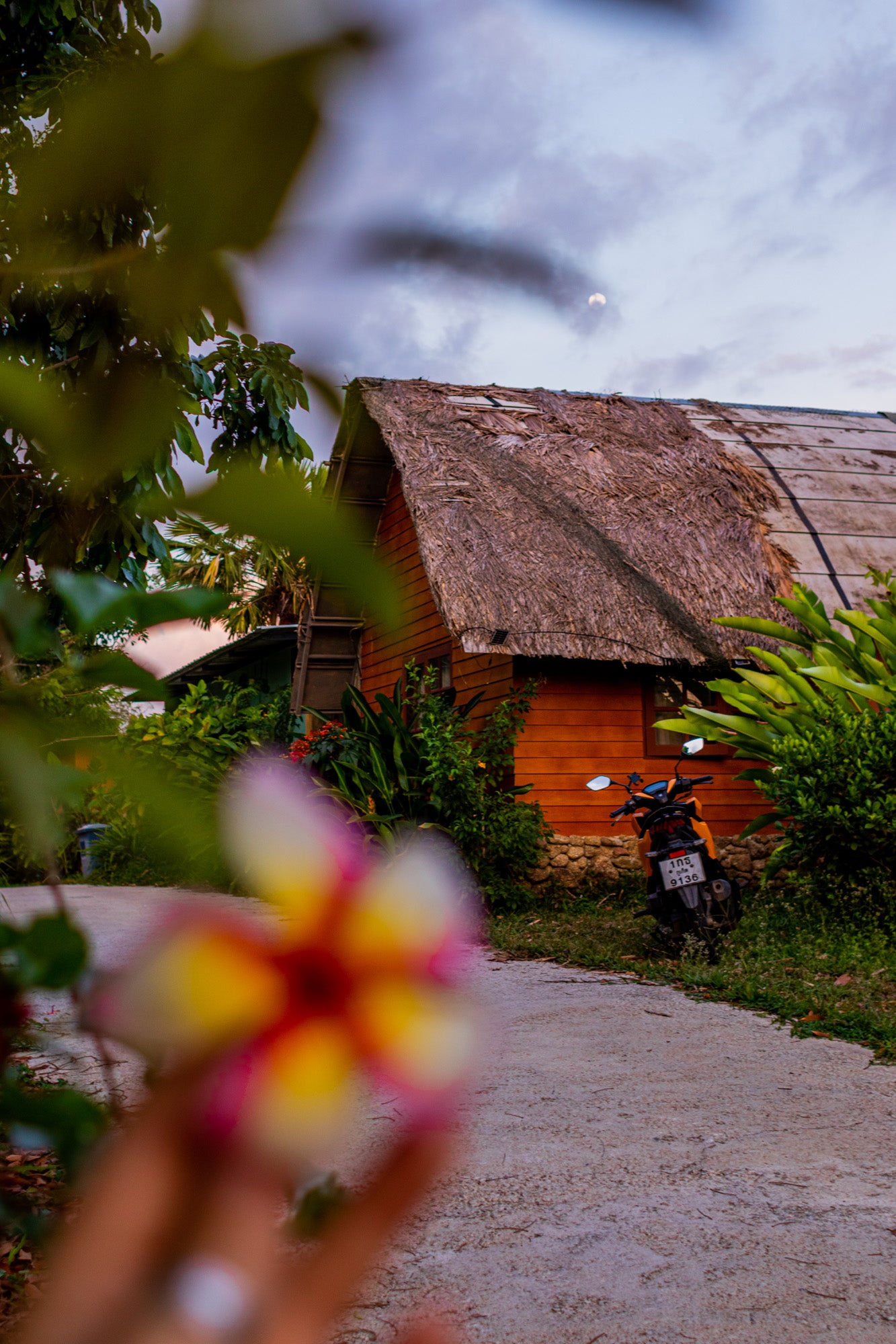 TROPICAL NIGHT IN THE JUNGLE HUT