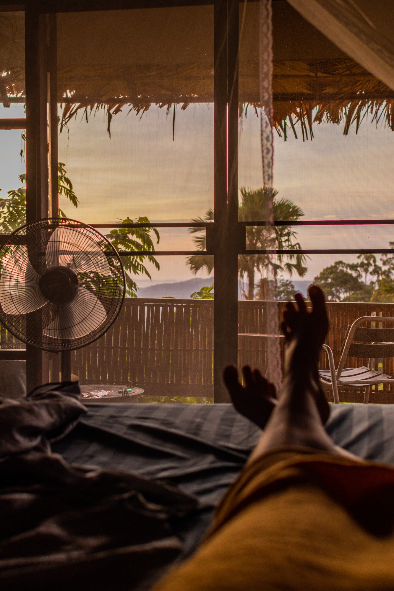 TROPICAL NIGHT IN THE JUNGLE HUT