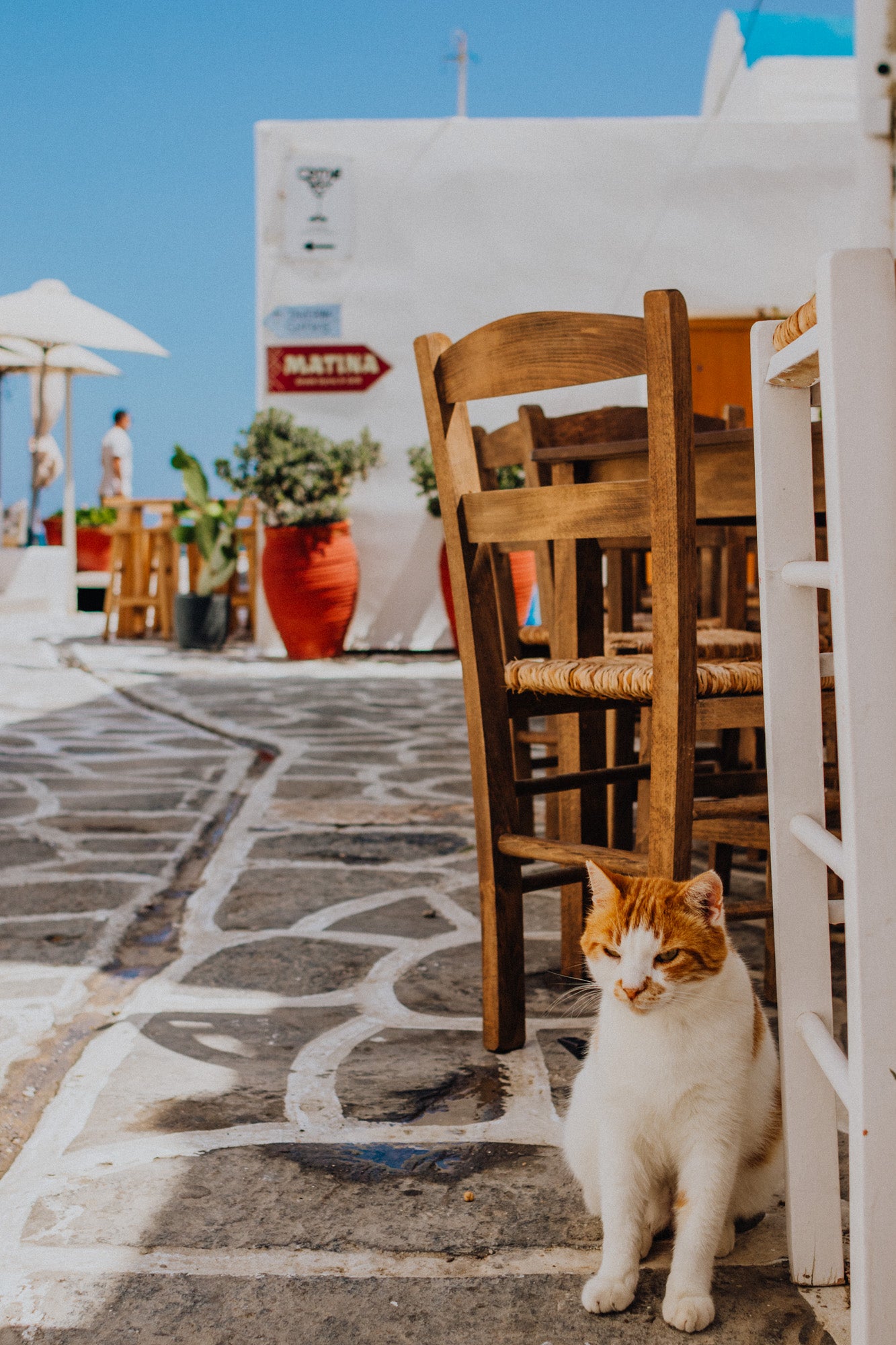 YOU AND ME UNDER THE GREEK SUN