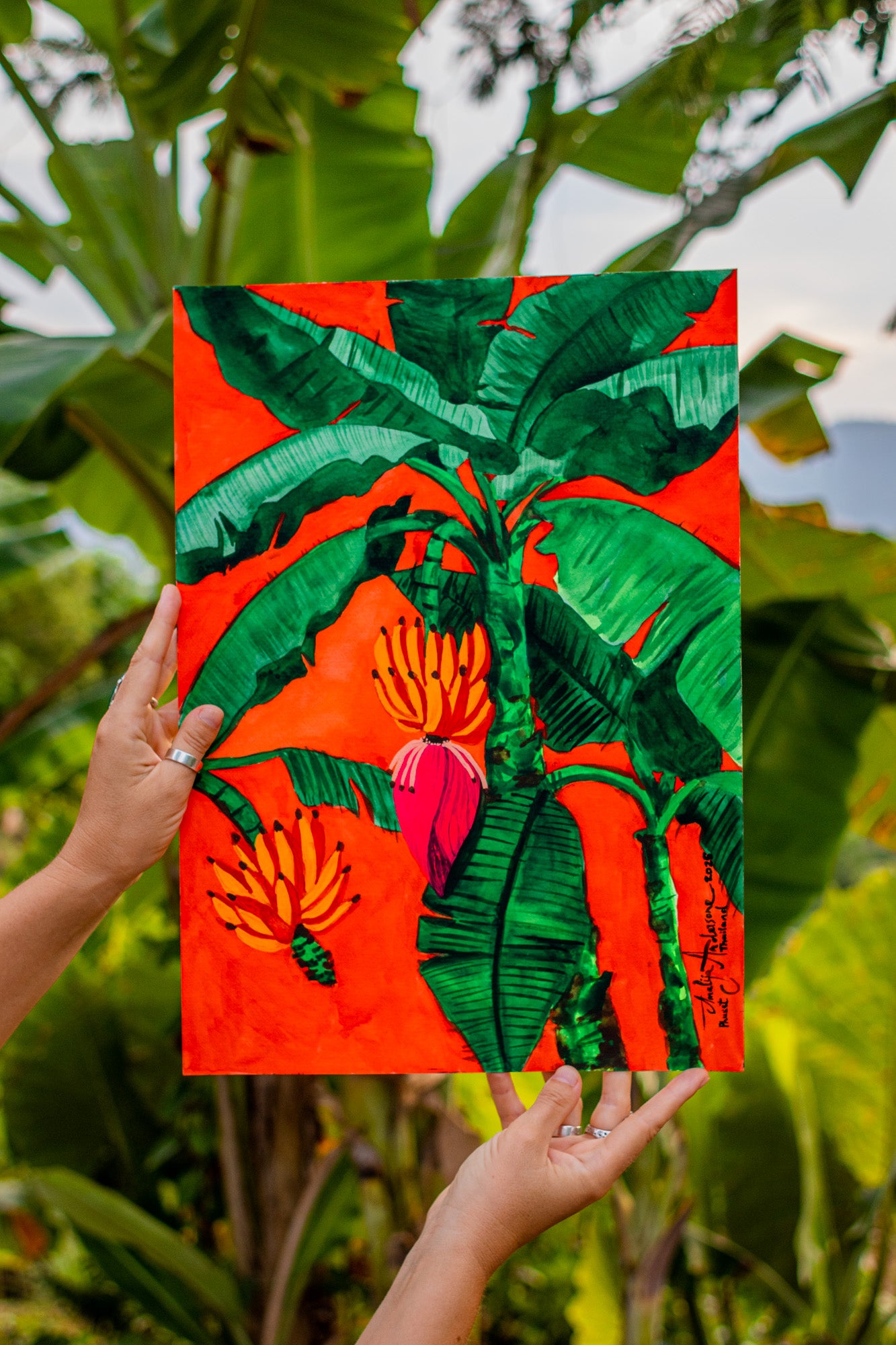 THAI BANANA PALM