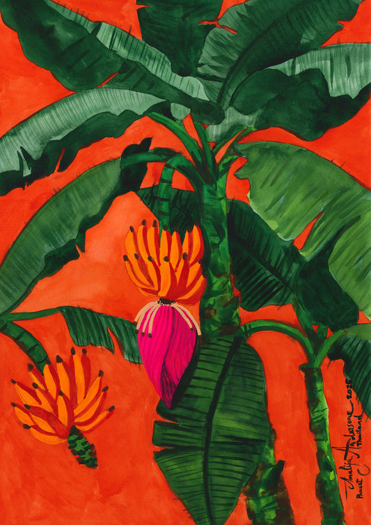 THAI BANANA PALM